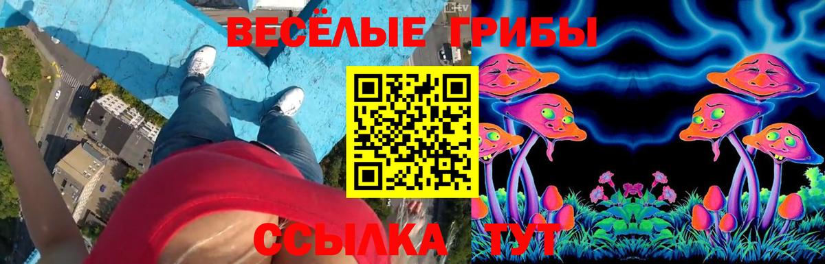 Псилоцибиновые грибы ЛСД Будённовск